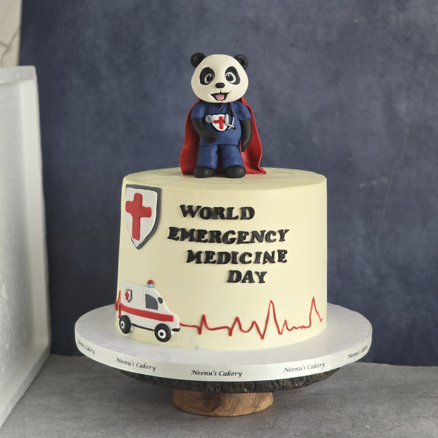 World Emergency Medicine Day