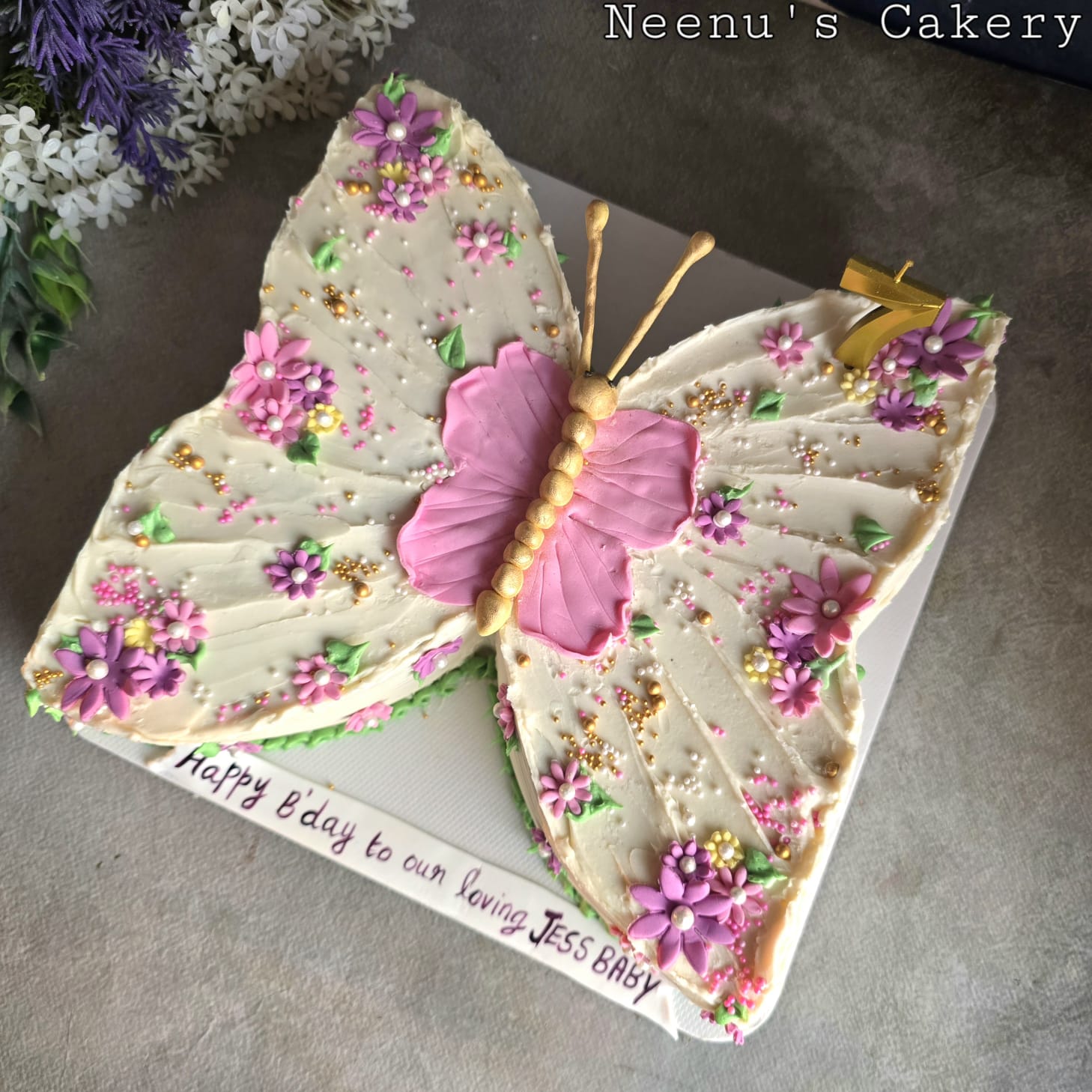Butterfly